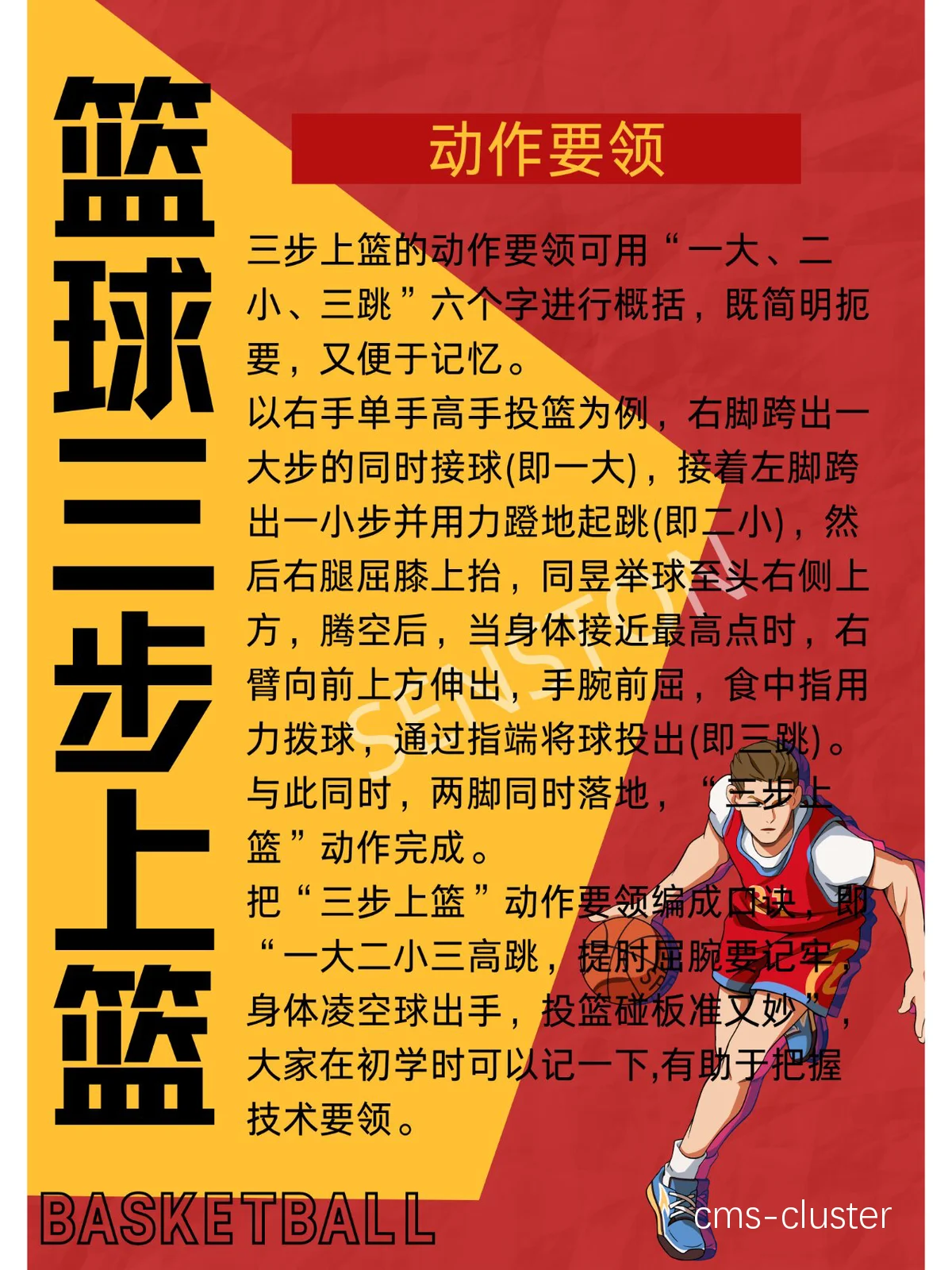 篮球运动训练方法包括什么